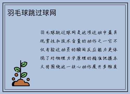羽毛球跳过球网