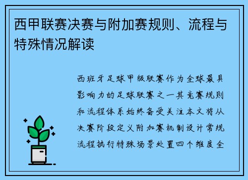 西甲联赛决赛与附加赛规则、流程与特殊情况解读
